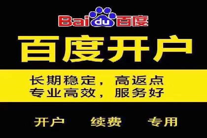 百度广告推广策略及成功案例解析