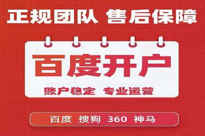 SEM专员案例：数据分析与优化
