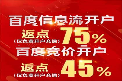 SEM代理助力品牌：案例解析与优化策略